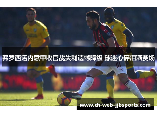 弗罗西诺内意甲收官战失利遗憾降级 球迷心碎泪洒赛场 弗罗西诺内意甲收官战失利遗憾降级 球迷心碎泪洒赛场